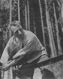 Woodcutter in work