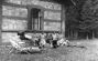 Demnov-photo from history